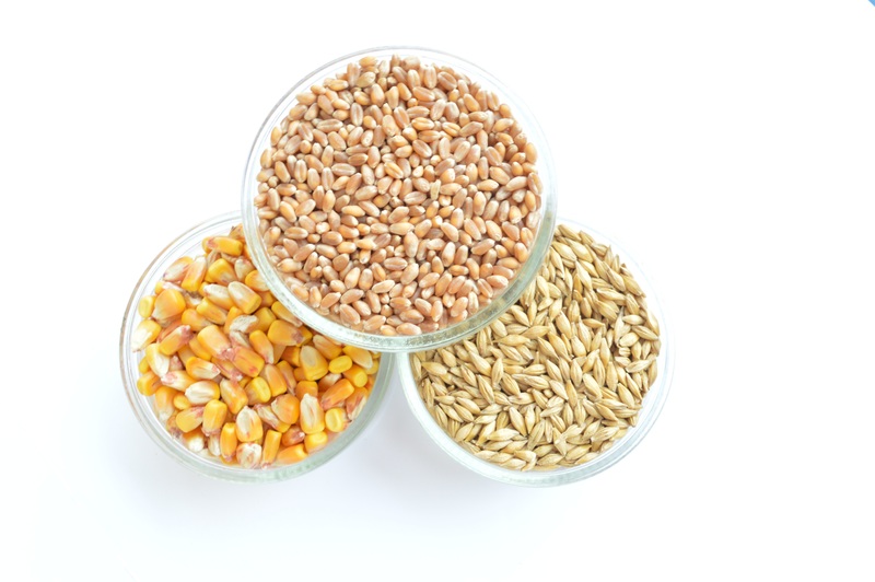 plant-barley-wheat-food-produce-crop-657464-pxhere.com